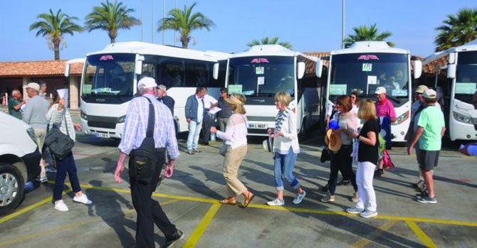 F1 Belgesi Yurtiçi Yolcu Taşıma Acenteliği